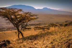 Pas subcaworial Pas subcaworial